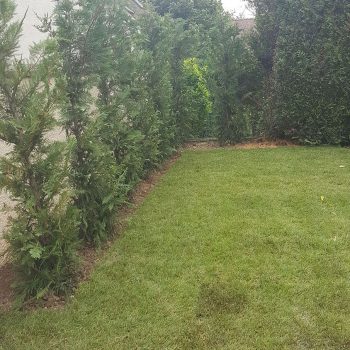 Création-jardin-longjumeau-nature-harmony-55