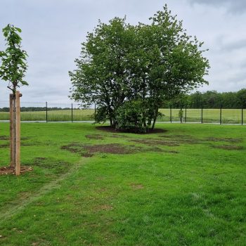 chantier-autry-sur-juine-nature-harmony-6
