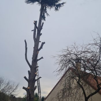 chantier-d-abatagge-a-longjumeau-nature-harmony