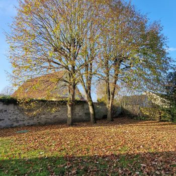 chantier-elagage-a-bouville-nature-harmony