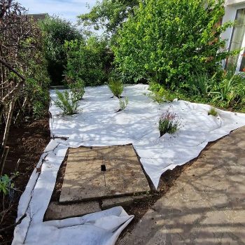 chantier-la-ferte-alais-nature-harmony-1