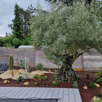 chantier-moringy-nature-harmony-1