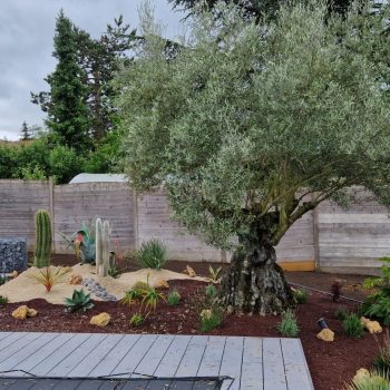 chantier-moringy-nature-harmony-5
