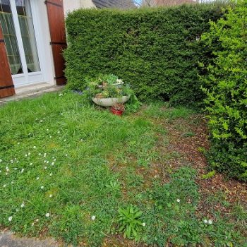 creation-de-jardin-la-ferte-alais-nature-harmony-1