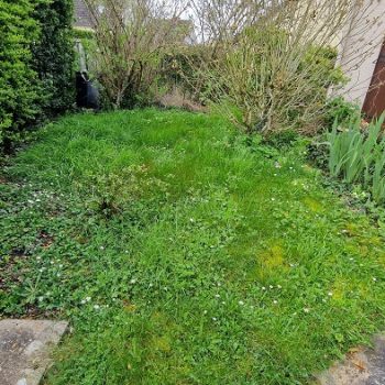 creation-de-jardin-la-ferte-alais-nature-harmony
