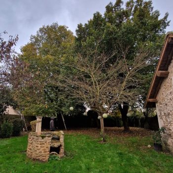 elagage-a-boissy-sous-st-yon-nature-harmony-1