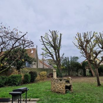 élagages-boissy-st-yon-nature-harmony-3