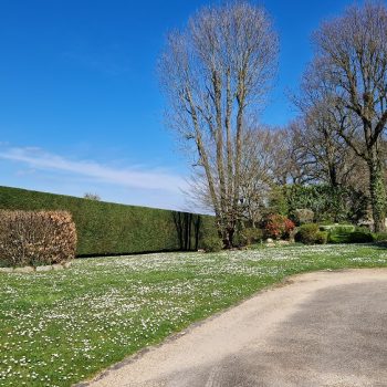 entretien-de-jardin-nature-harmony