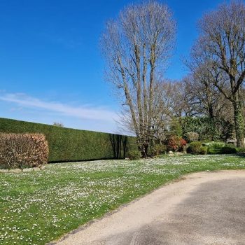 entretien-jardin-Saint-Chéron-nature-harmony