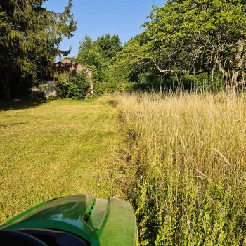 remise-en-etat-cely-en-bierre-jardin-nature-harmony00002