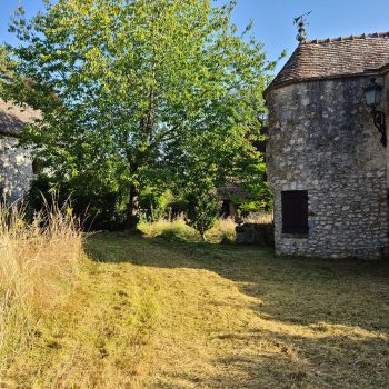 remise-en-etat-cely-en-bierre-jardin-nature-harmony00003