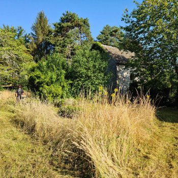 remise-en-etat-cely-en-bierre-jardin-nature-harmony00004