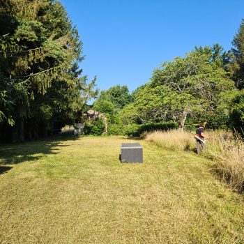 remise-en-etat-cely-en-bierre-jardin-nature-harmony00005