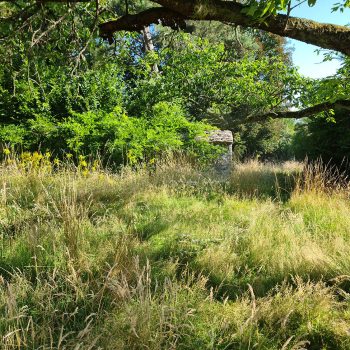 remise-en-etat-cely-en-bierre-jardin-nature-harmony00006