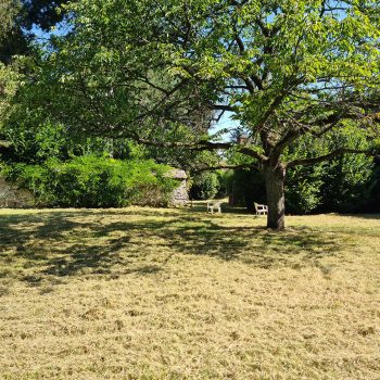 remise-en-etat-cely-en-bierre-jardin-nature-harmony00008