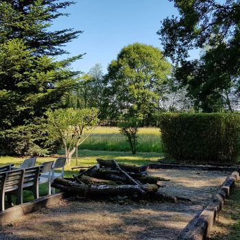 remise-en-etat-jardin-nature-harmony00010
