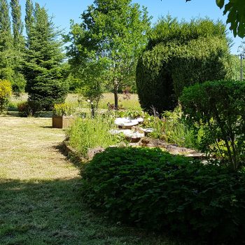 remise-en-etat-jardin-nature-harmony00016